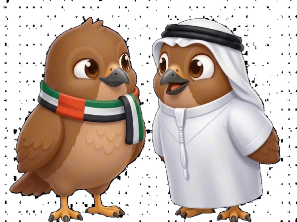 Saqr and an Emirati bird having a conversation